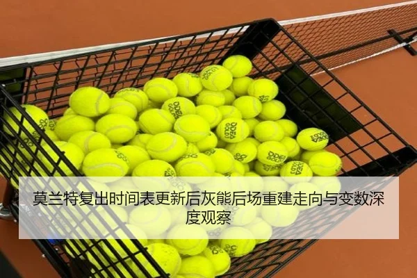 莫兰特复出时间表更新后灰熊后场重建走向与变数深度观察